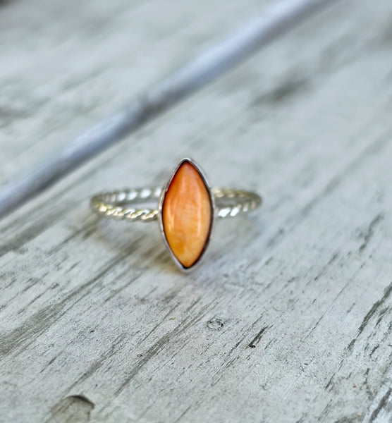 Spiny oyster ring