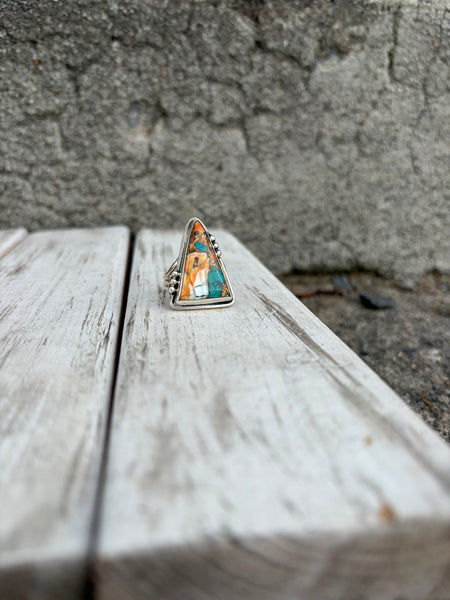 Spiny oyster triangle