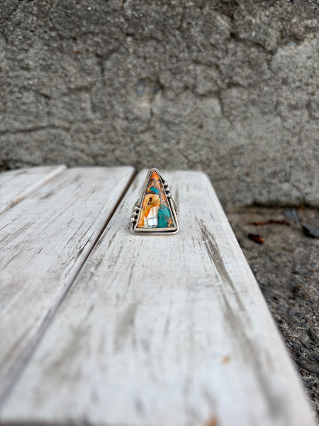 Spiny oyster triangle